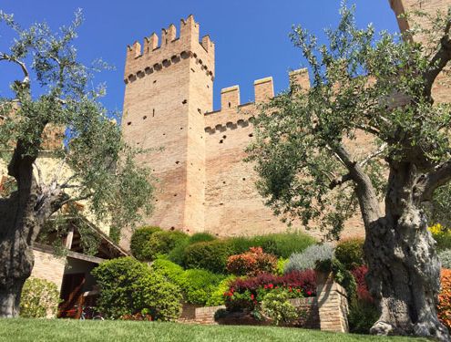 Giardino degli Ulivi di via Cappuccini