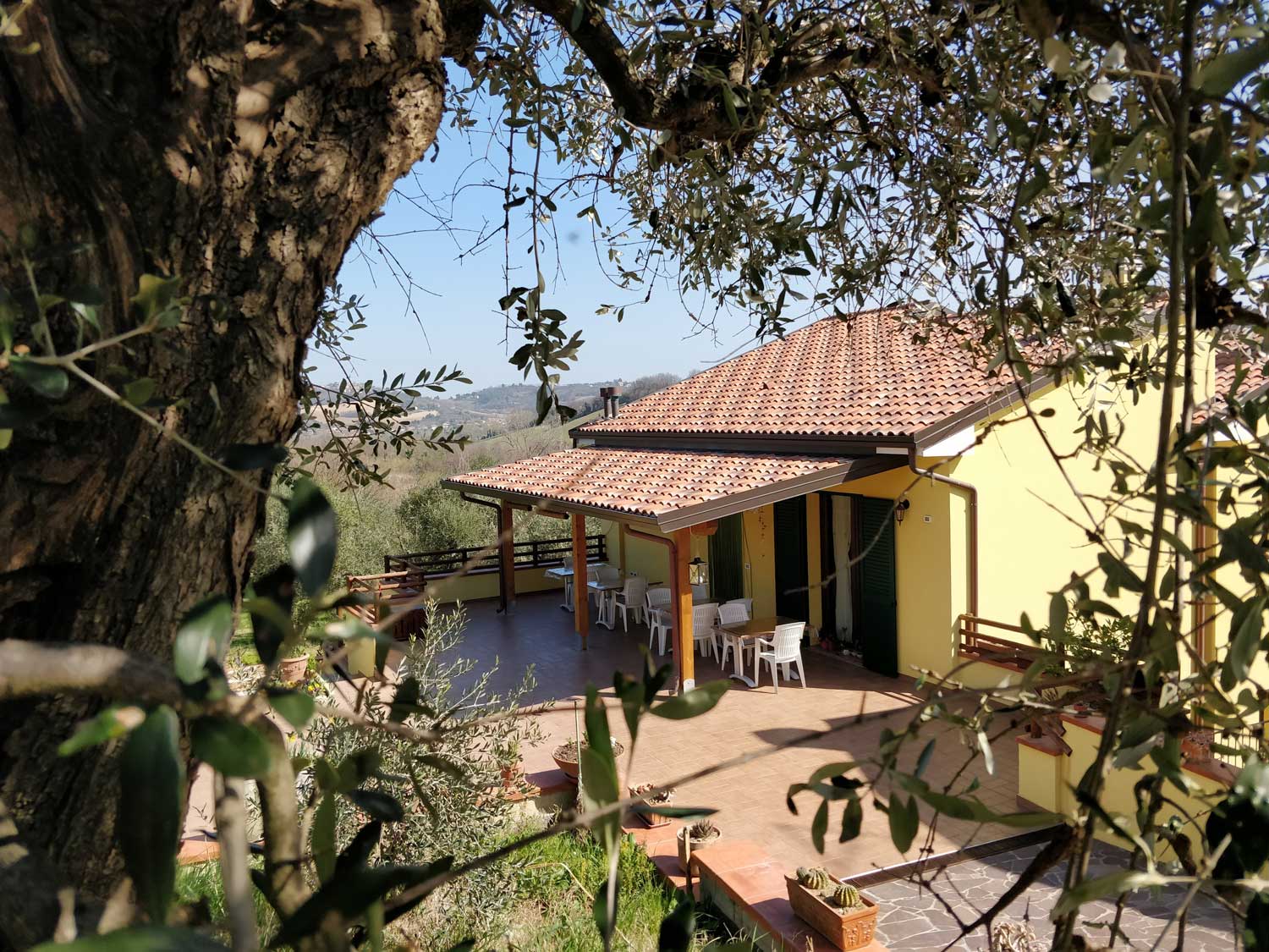 B&B La Magnolia - Gradara